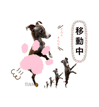 Tiamo@2（個別スタンプ：18）