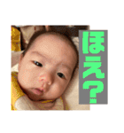 ふうちゃんスタタンプ④（個別スタンプ：11）