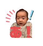 ふうちゃんスタタンプ④（個別スタンプ：14）