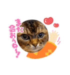 ママのミルちゃん（個別スタンプ：3）