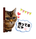 ママのミルちゃん（個別スタンプ：4）