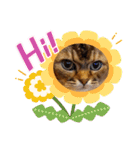 ママのミルちゃん（個別スタンプ：5）