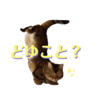 ママのミルちゃん（個別スタンプ：18）