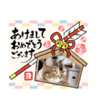 ママのミルちゃん（個別スタンプ：20）