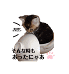 ママのミルちゃん（個別スタンプ：25）