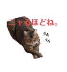 ママのミルちゃん（個別スタンプ：26）