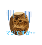 ママのミルちゃん（個別スタンプ：28）