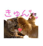 ママのミルちゃん（個別スタンプ：29）