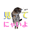 ママのミルちゃん（個別スタンプ：30）