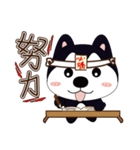ハハハスキーはとても面白い（個別スタンプ：5）