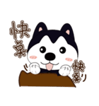 ハハハスキーはとても面白い（個別スタンプ：10）