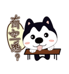 ハハハスキーはとても面白い（個別スタンプ：19）