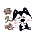 ハハハスキーはとても面白い（個別スタンプ：39）