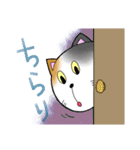 おとぼけねこちゃんのスタンプ（個別スタンプ：18）