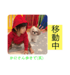 あおぺーの日常 2（個別スタンプ：15）