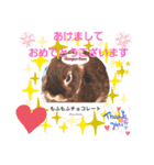 うさスタンプ正月（個別スタンプ：1）