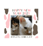 華凛と麗蘭と仲間たち②（個別スタンプ：1）