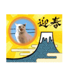 華凛と麗蘭と仲間たち②（個別スタンプ：2）