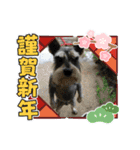 華凛と麗蘭と仲間たち②（個別スタンプ：5）