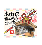 華凛と麗蘭と仲間たち②（個別スタンプ：6）