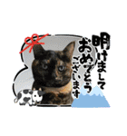 華凛と麗蘭と仲間たち②（個別スタンプ：9）