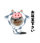 華凛と麗蘭と仲間たち②（個別スタンプ：11）