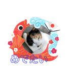 華凛と麗蘭と仲間たち②（個別スタンプ：12）