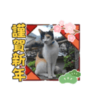 華凛と麗蘭と仲間たち②（個別スタンプ：13）