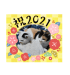 華凛と麗蘭と仲間たち②（個別スタンプ：14）