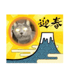 華凛と麗蘭と仲間たち②（個別スタンプ：15）