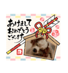 華凛と麗蘭と仲間たち②（個別スタンプ：19）