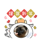 華凛と麗蘭と仲間たち②（個別スタンプ：21）
