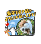 華凛と麗蘭と仲間たち②（個別スタンプ：22）