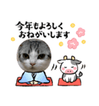 ミケユキチャンネルスタンプ2（個別スタンプ：1）