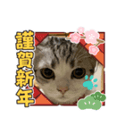 ミケユキチャンネルスタンプ2（個別スタンプ：2）