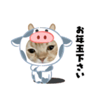 ミケユキチャンネルスタンプ2（個別スタンプ：10）