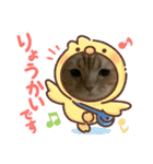 ミケユキチャンネルスタンプ2（個別スタンプ：15）