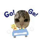 ミケユキチャンネルスタンプ2（個別スタンプ：16）