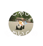 ともだちのゆうちゃん（個別スタンプ：14）