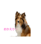 MUGICYA（個別スタンプ：8）