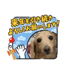 新春号スミレちゃんスタンプ（個別スタンプ：1）