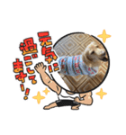 新春号スミレちゃんスタンプ（個別スタンプ：4）