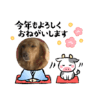 新春号スミレちゃんスタンプ（個別スタンプ：7）