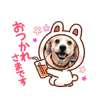 mix犬❤️めるも❤️（個別スタンプ：2）