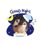 mix犬❤️めるも❤️（個別スタンプ：4）