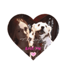 mix犬❤️めるも❤️（個別スタンプ：8）