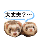 イタグレと愉快な仲間②（個別スタンプ：9）