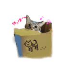 キジトラつくし（個別スタンプ：19）