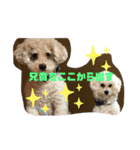 ナラファミリー30（個別スタンプ：1）