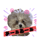 ナラファミリー30（個別スタンプ：2）